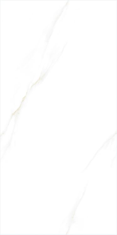 Time Cielo Polished 24 x 48